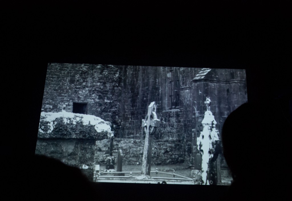 From-The-Bogs-Of-Aughiska-5