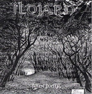 Ildjarn - Forest Poetry